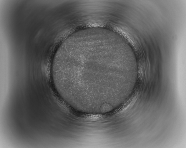 X0000093530402200711021314