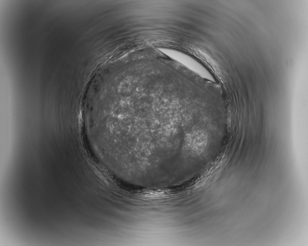 X0000093530405200711021314