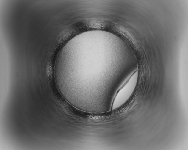 X0000093530407200711021314