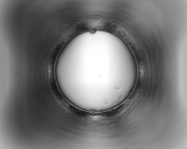 X0000093530408200711021314