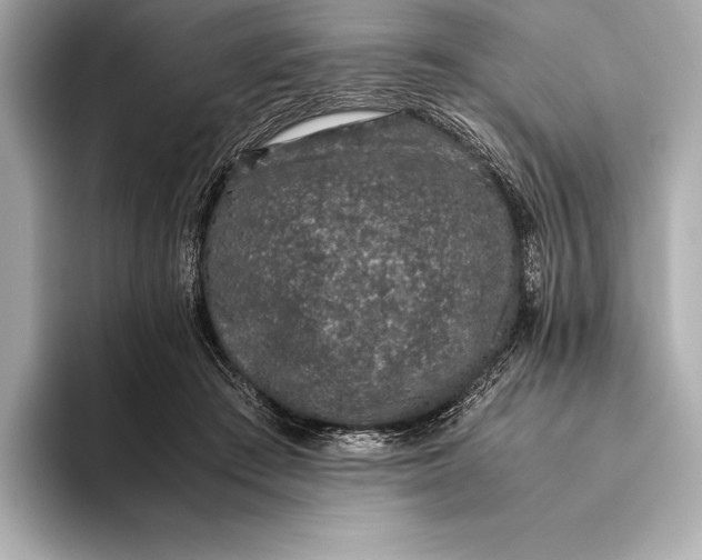 X0000093530409200711021314