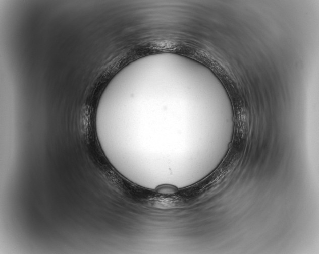 X0000093530412200711021314