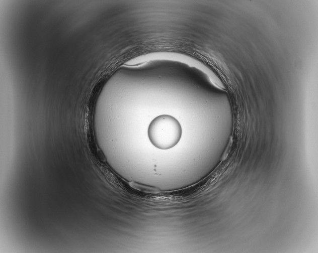 X0000093530413200711021314