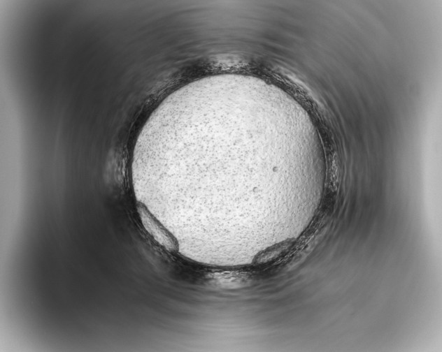 X0000093530417200711021314