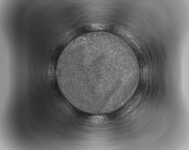 X0000093530418200711021314