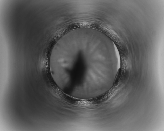 X0000093530419200711021314