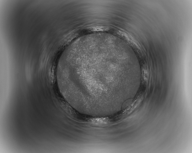 X0000093530422200711021314