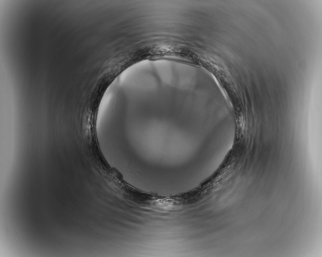 X0000093530423200711021314