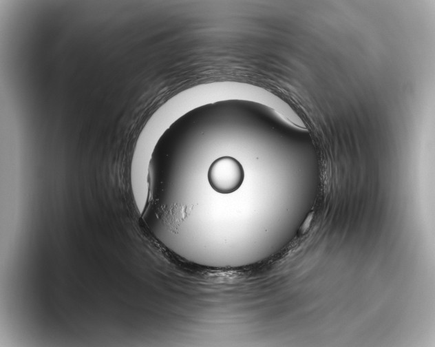 X0000093530428200711021314