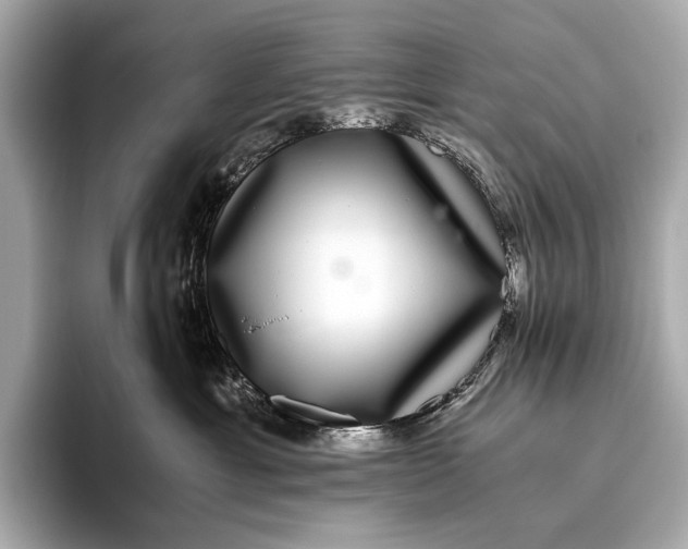 X0000093530429200711021314