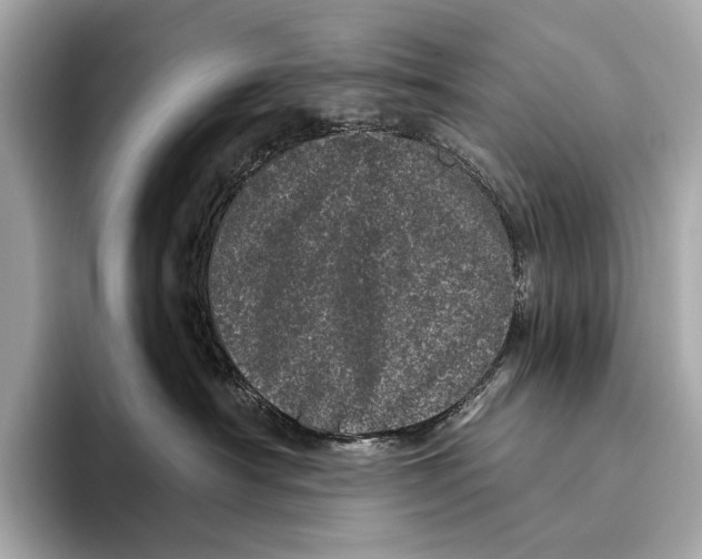 X0000093530430200711021314