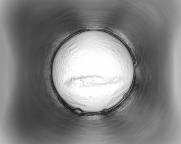 X0000093530433200711021313