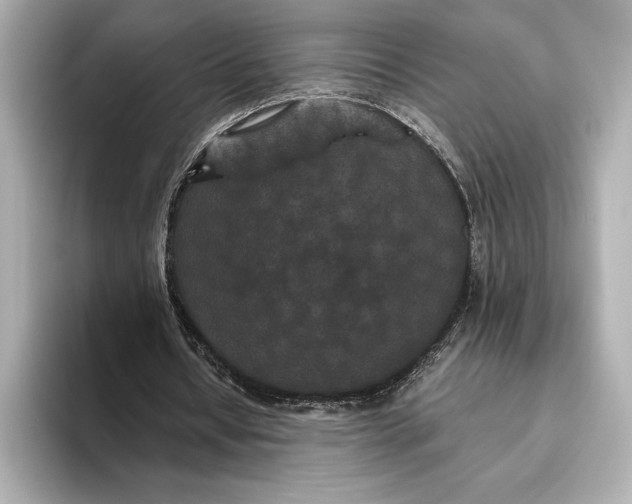 X0000093530434200711021313