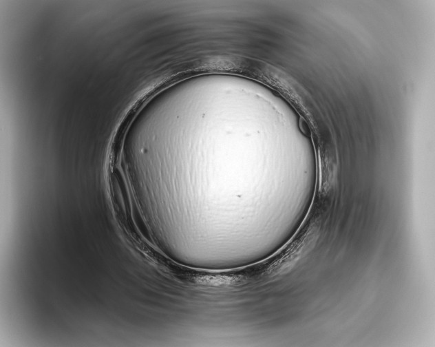 X0000093530435200711021313