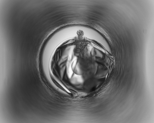 X0000093530436200711021313