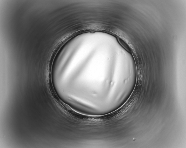 X0000093530437200711021313