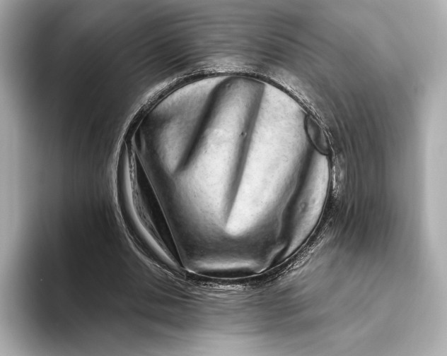 X0000093530438200711021313