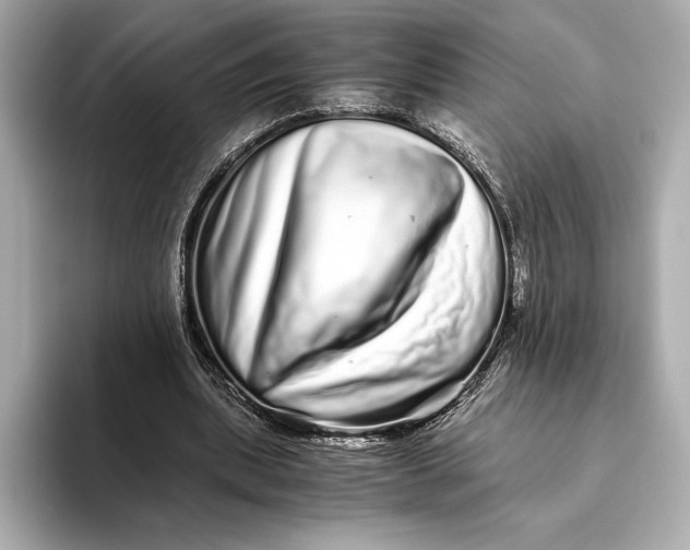 X0000093530439200711021313