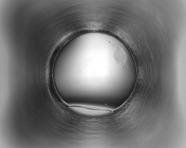 X0000093530440200711021313