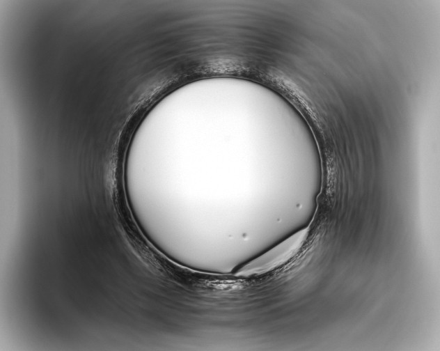 X0000093530443200711021313