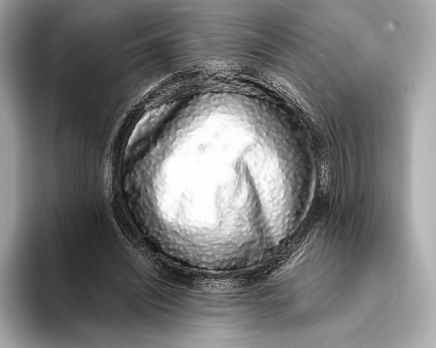 X0000093530444200711021313