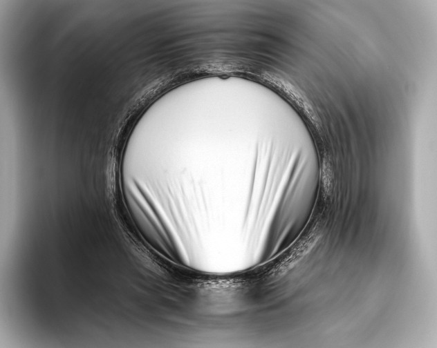 X0000093530445200711021313