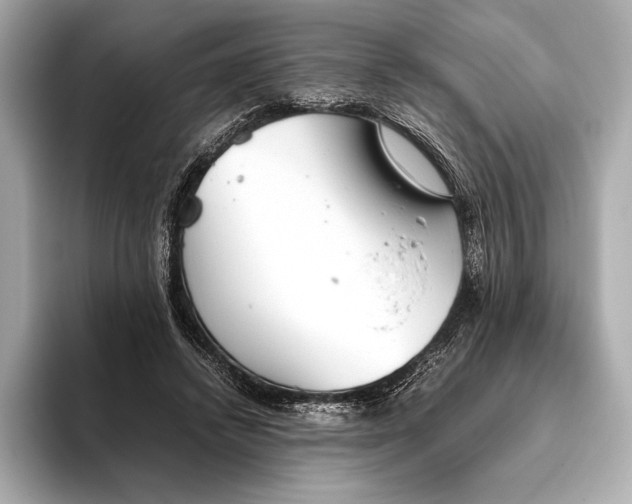 X0000093530448200711021313