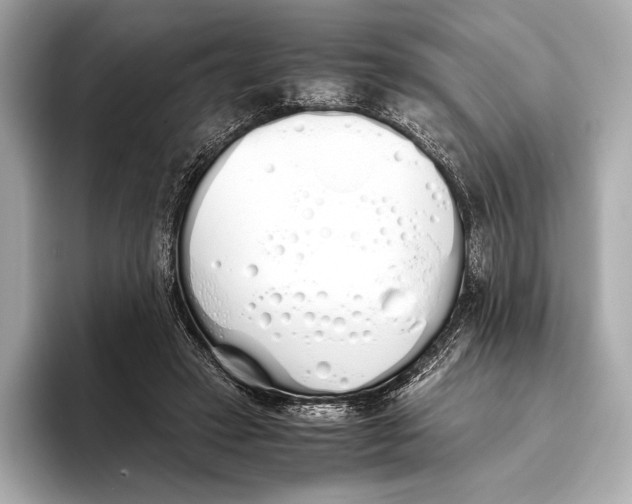 X0000093530449200711021313