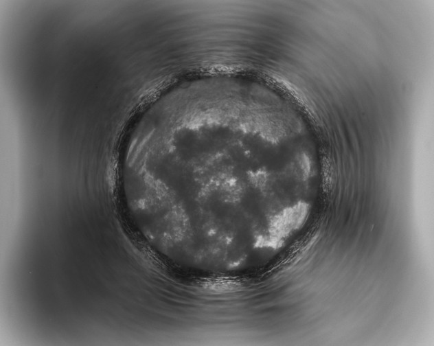 X0000093530451200711021313