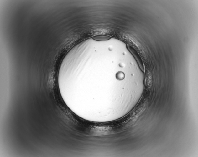 X0000093530455200711021313