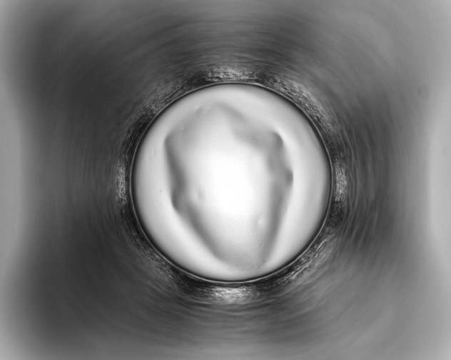 X0000093530457200711021313