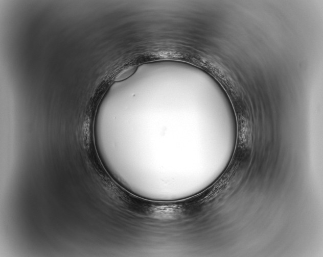 X0000093530461200711021313