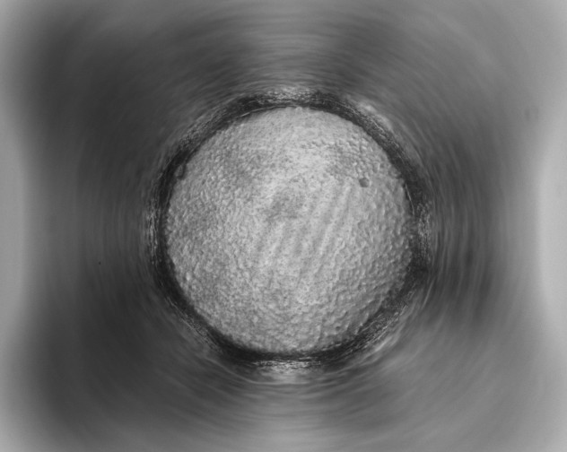 X0000093530462200711021313