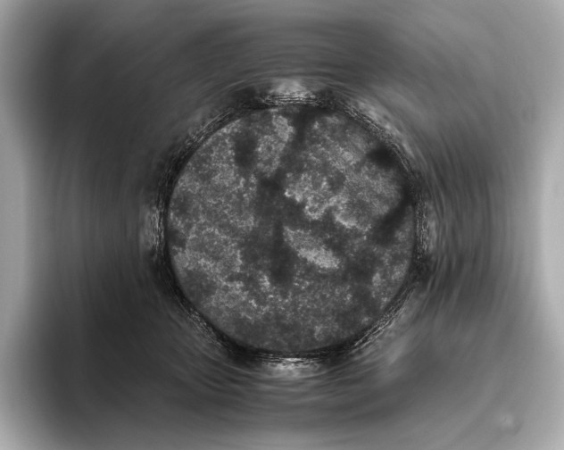 X0000093530467200711021314