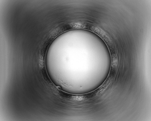 X0000093530469200711021314