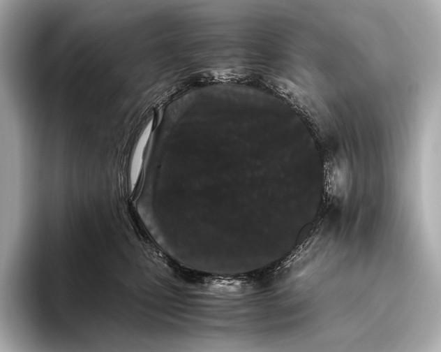 X0000093530471200711021314