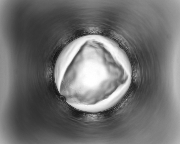 X0000093530473200711021314