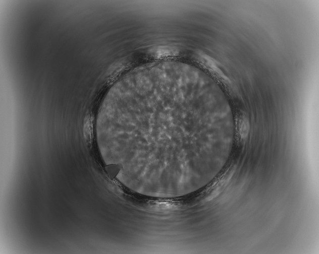 X0000093530475200711021314