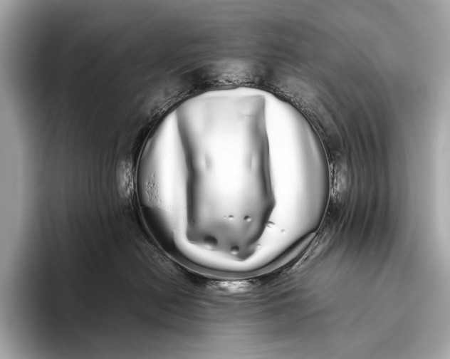 X0000093530478200711021314