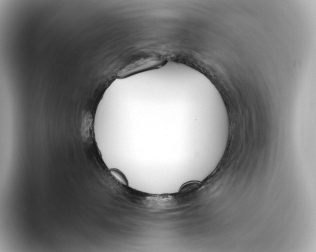 X0000093530480200711021314