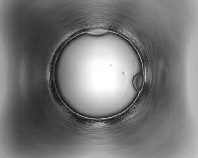 X0000093530483200711021313