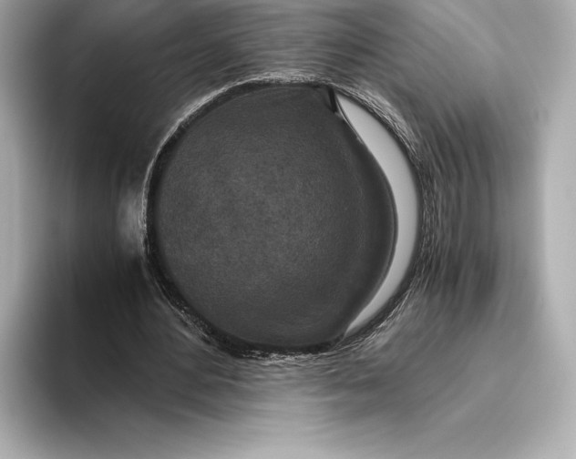 X0000093530484200711021313