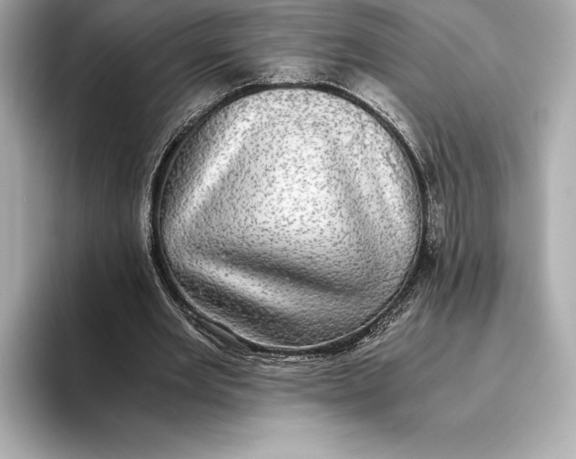 X0000093530485200711021313