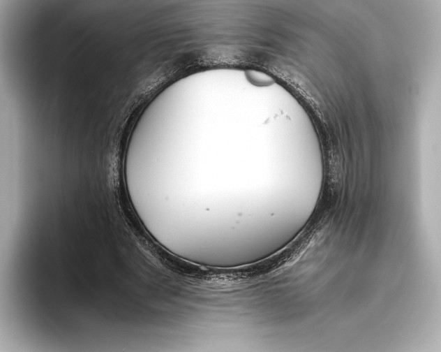 X0000093530489200711021313