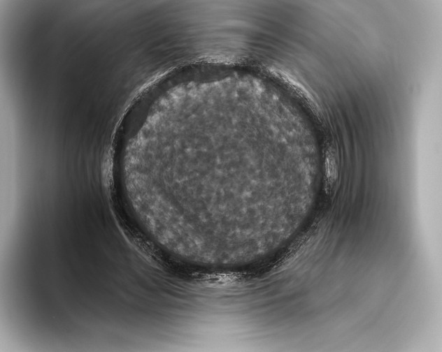 X0000093530492200711021313