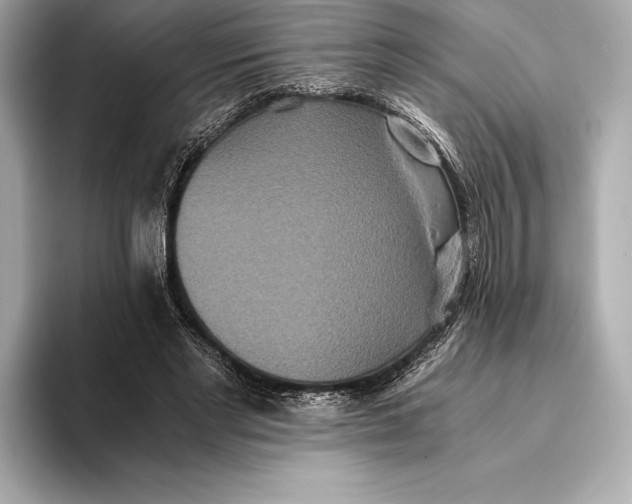 X0000093530493200711021313