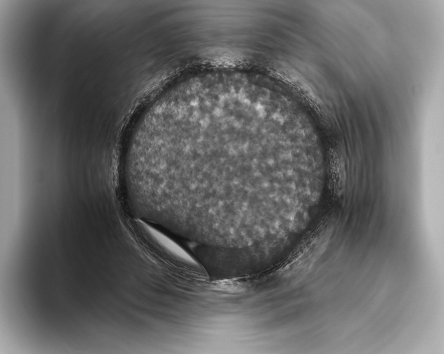 X0000093530496200711021313