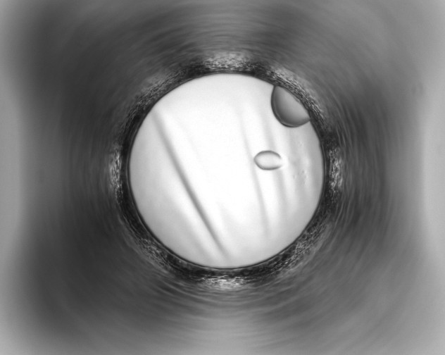 X0000093530498200711021313