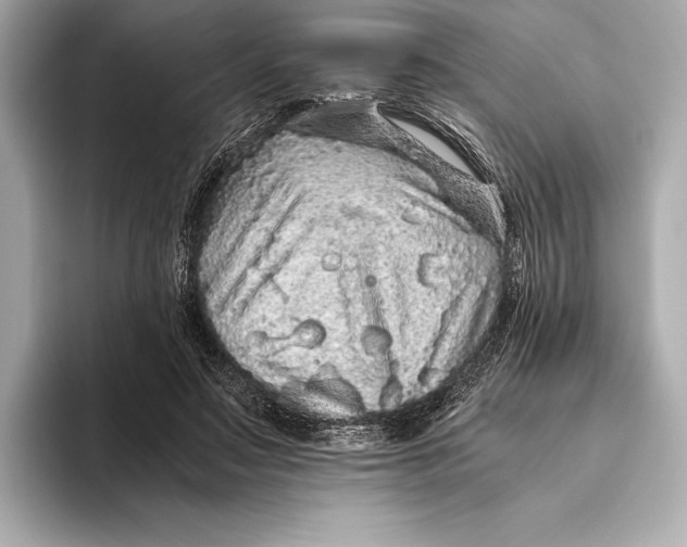 X0000093530499200711021313