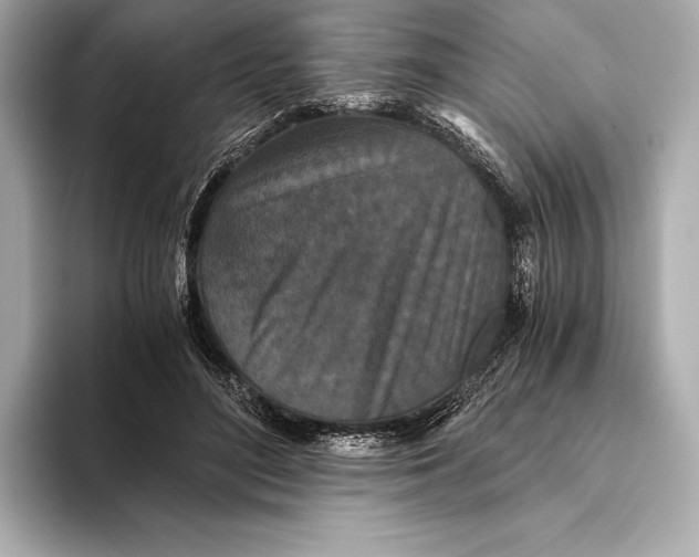 X0000093530500200711021313